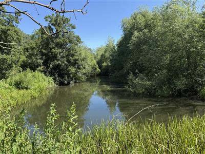 Picture 29